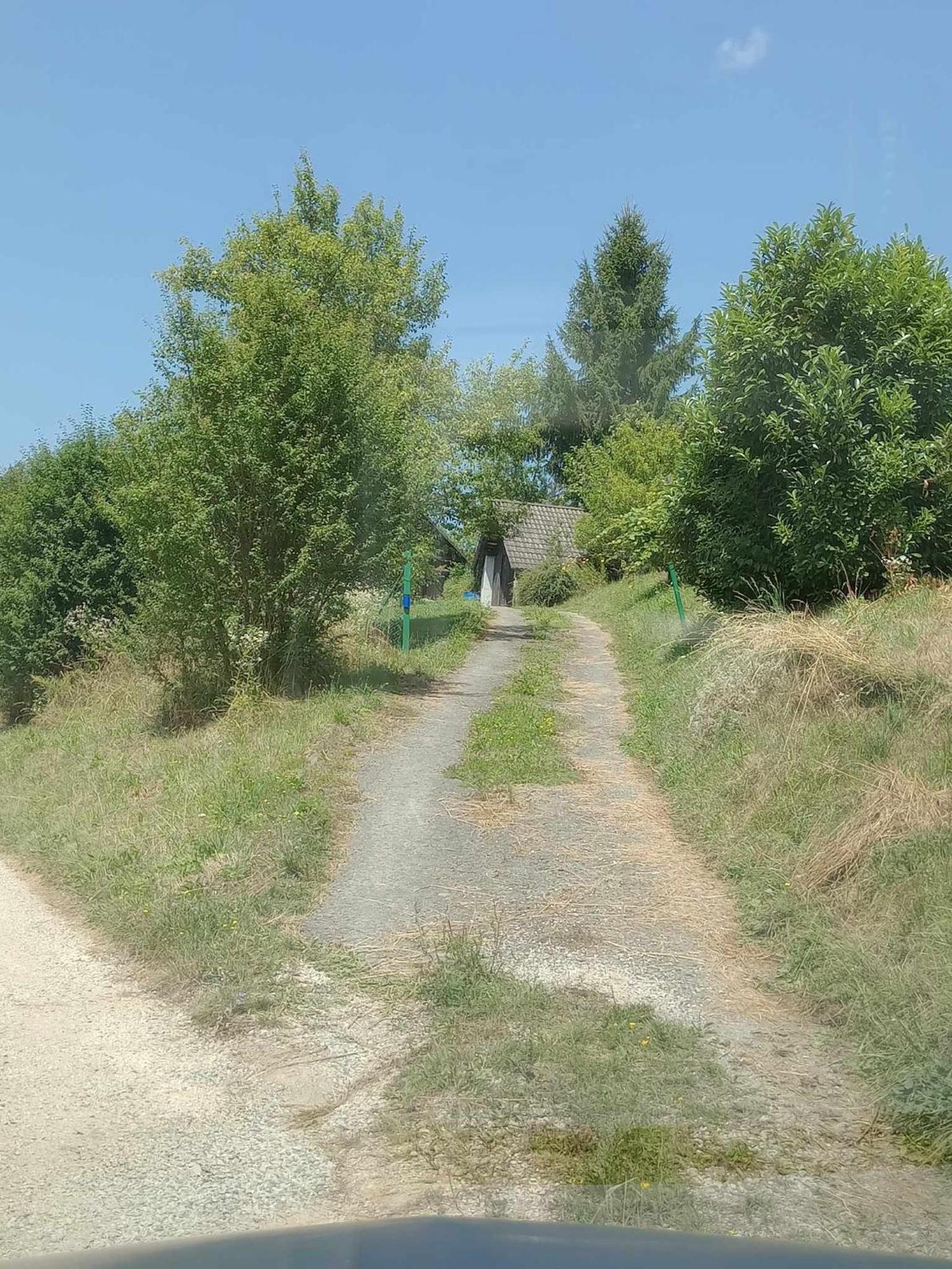 House David Vikendica